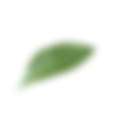 Ornament_Daun_4 Ornament_Daun_4